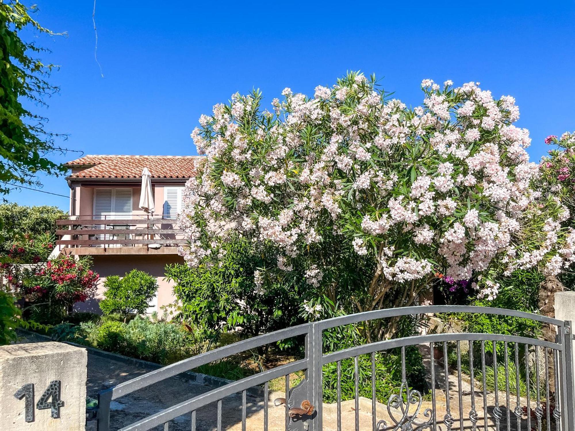 Apartment Lidija بنجول المظهر الخارجي الصورة