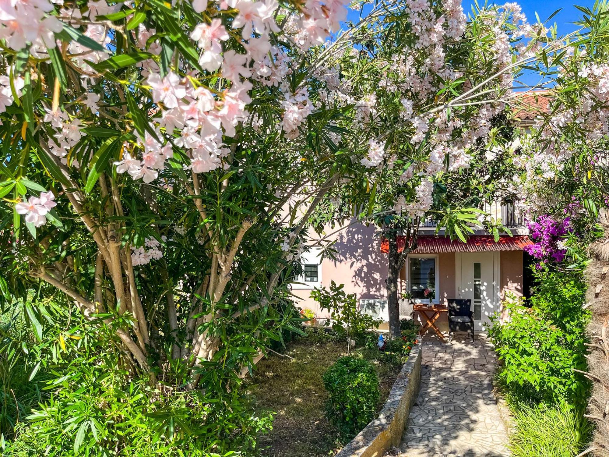 Apartment Lidija بنجول المظهر الخارجي الصورة